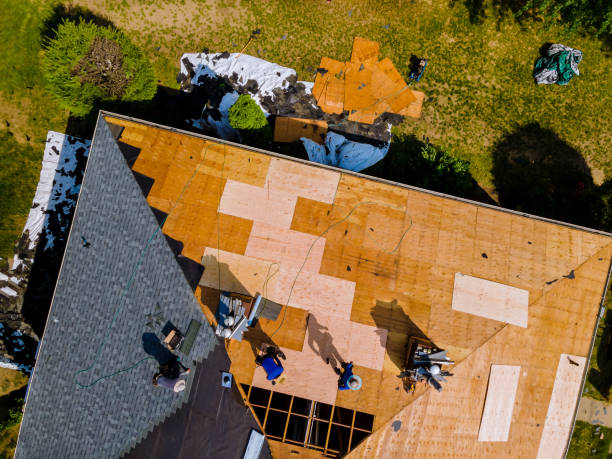 Best Roof Waterproofing Services  in Honsville, GA