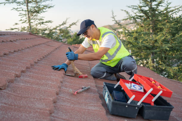 Residential Roof Replacement in Hogansville, GA