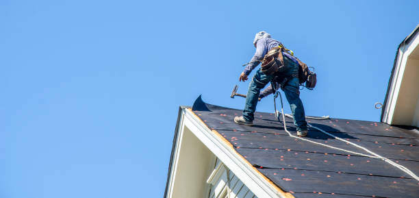 Roof Gutter Cleaning in Hogansville, GA